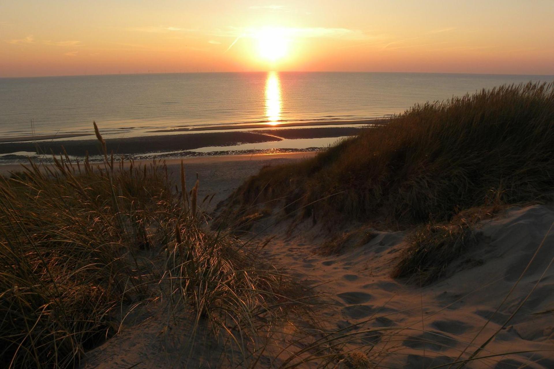 Ammophila 2 Lägenhet Egmond aan Zee Exteriör bild